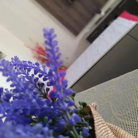 Bolero Bijeljina